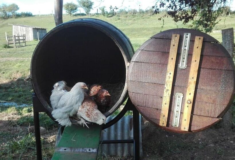 مبيت وإفطار Ferme De Bellevue