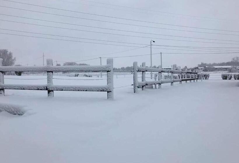 مبيت وإفطار Ferme De La Forterie