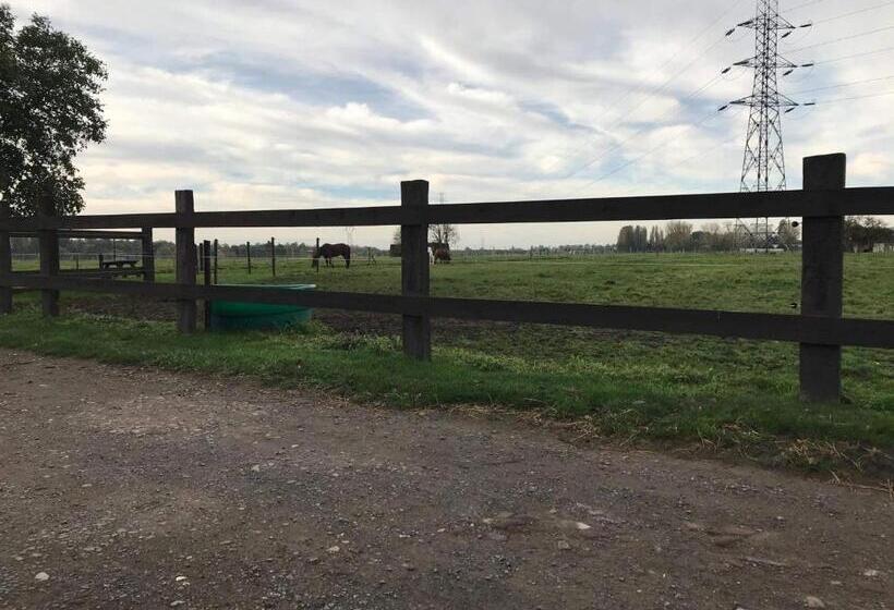 צימר Ferme De La Forterie