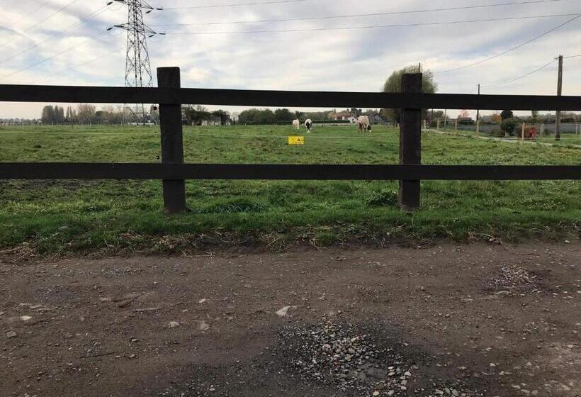 مبيت وإفطار Ferme De La Forterie