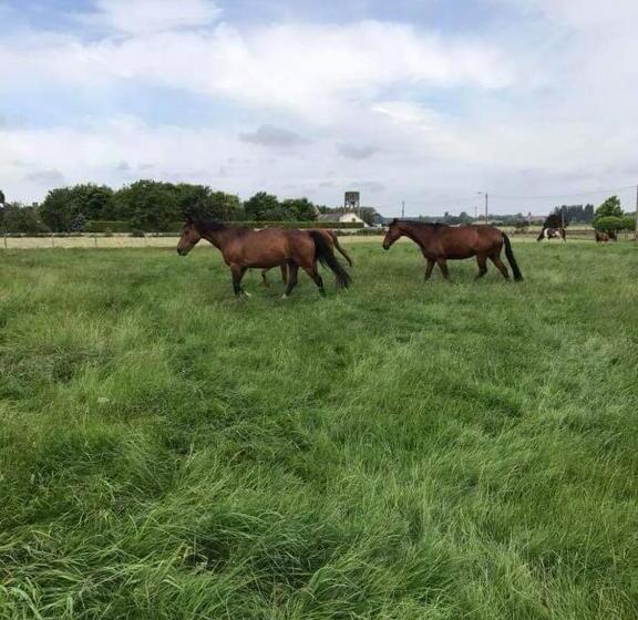 مبيت وإفطار Ferme De La Forterie