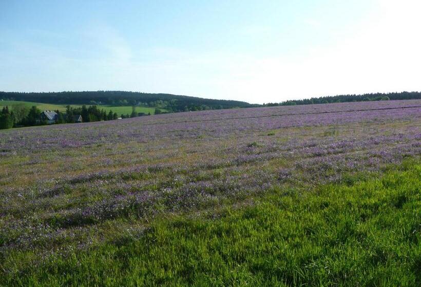 ベッドアンドブレックファースト Gasthaus Ruebenau