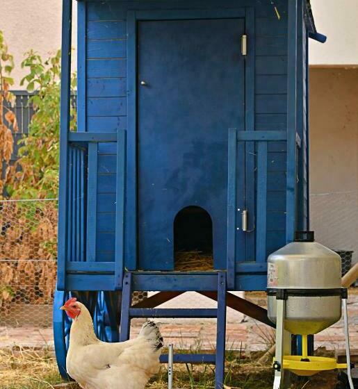 住宿加早餐 ô Gré Des Sens