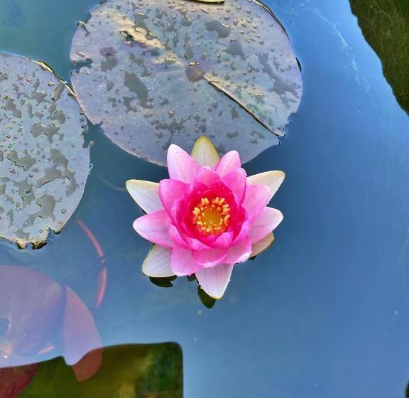 住宿加早餐 ô Gré Des Sens