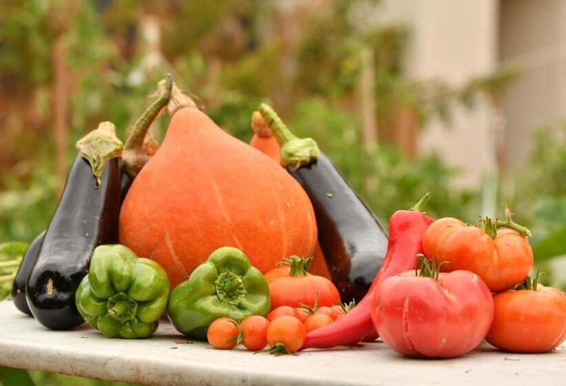 住宿加早餐 ô Gré Des Sens