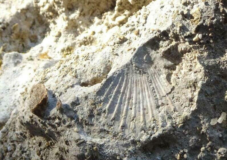 צימר La Dimora Di Dioniso