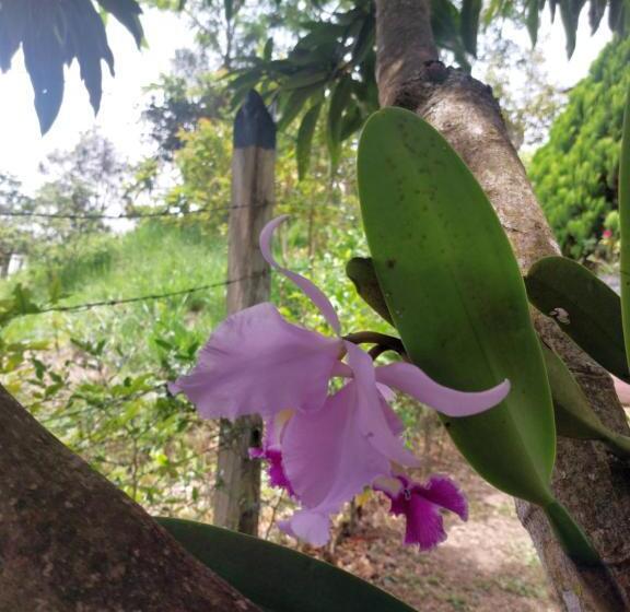 مبيت وإفطار Las Cabañas Del Escobo   Cabaña Tucán