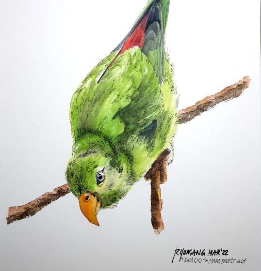 مبيت وإفطار Maka Kalinaw 6 Wabi Sabi Room, Forest And Garden View