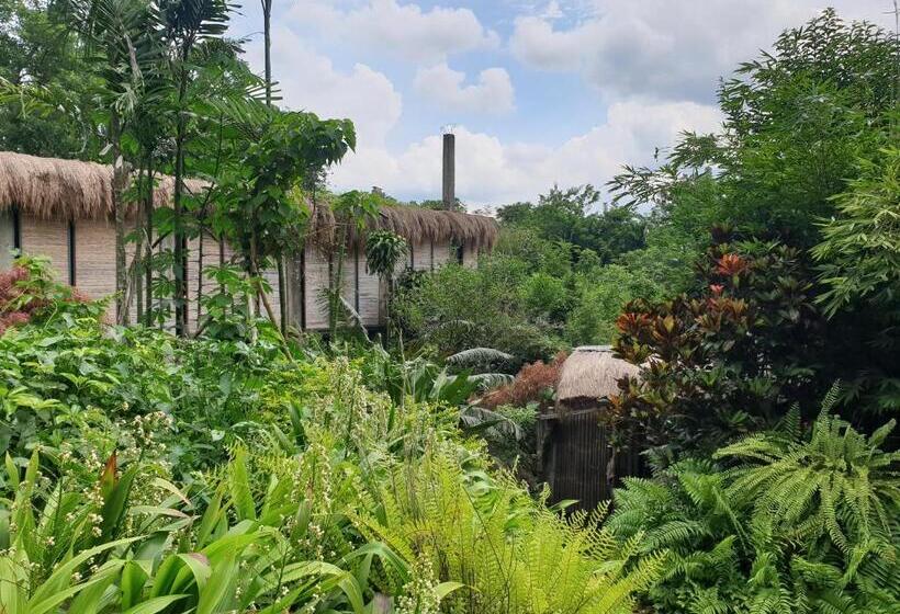 مبيت وإفطار Maka Kalinaw 6 Wabi Sabi Room, Forest And Garden View