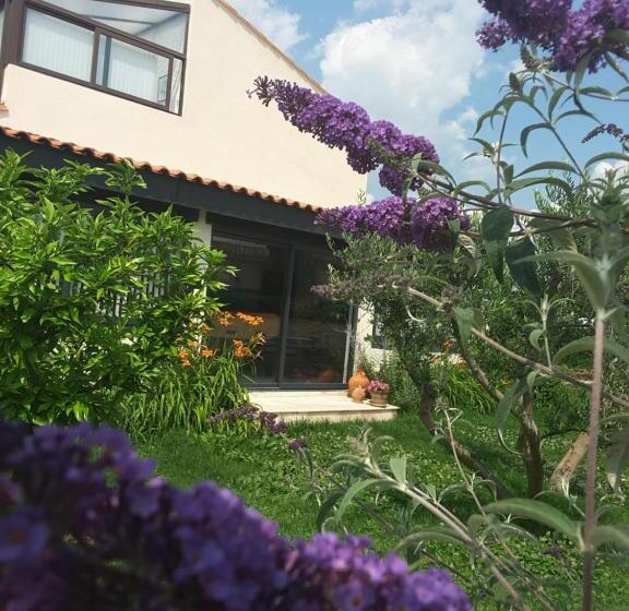 住宿加早餐 Philoxenia