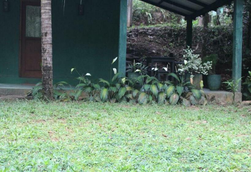 Bed and Breakfast Sinharaja Aranuwa Resort