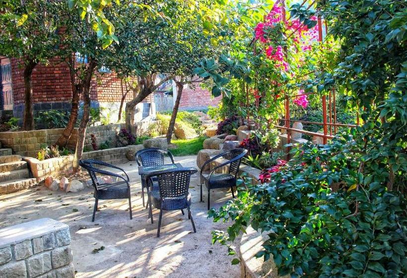 مبيت وإفطار Rendezvous Resort Dharamshala