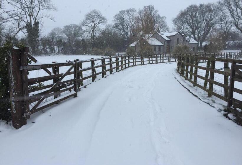 住宿加早餐 The Vandees