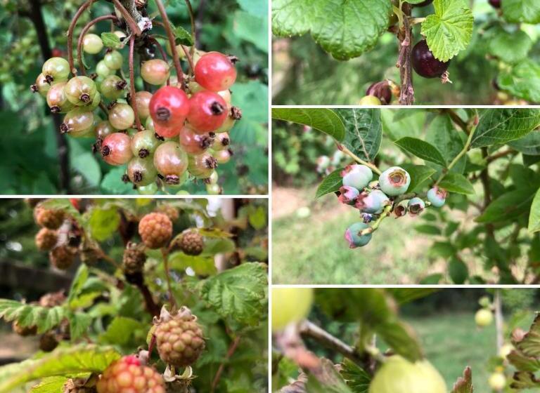 住宿加早餐 The Vandees