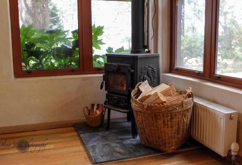 مبيت وإفطار Tomah Retreat   Studio Breathe With Fireplace