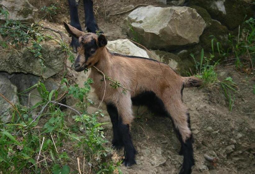 فندق Agriturismo L Antico Casolare