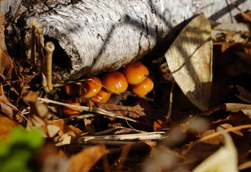 호텔 Björk （森の宿 ビヨルク）