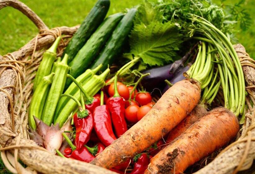 호텔 Björk （森の宿 ビヨルク）