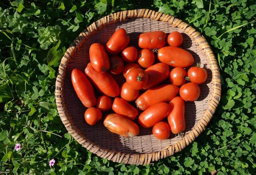 호텔 Björk （森の宿 ビヨルク）