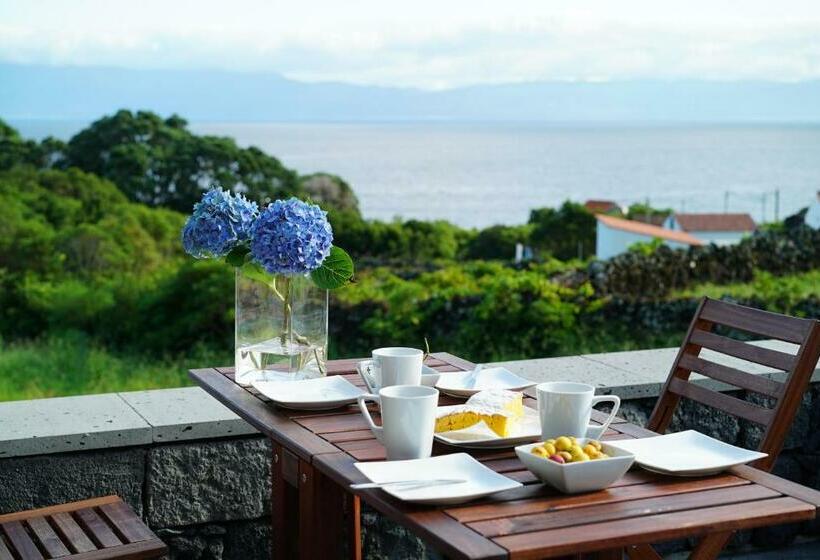 호텔 Casa Do Cedro Do Mato