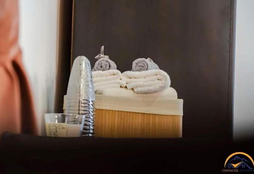 Отель Conacul Doamnei