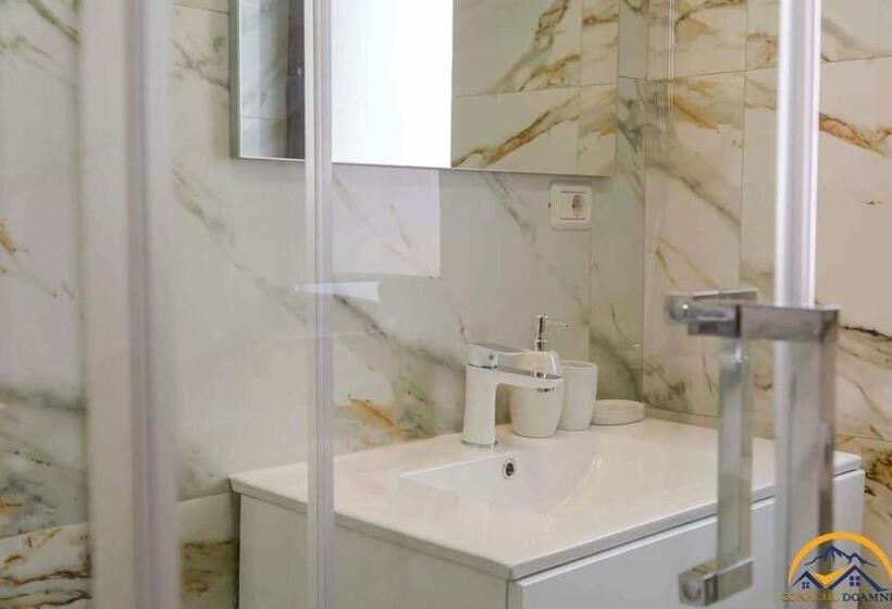 Отель Conacul Doamnei