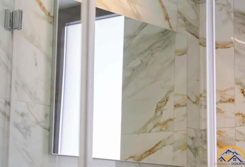 Отель Conacul Doamnei