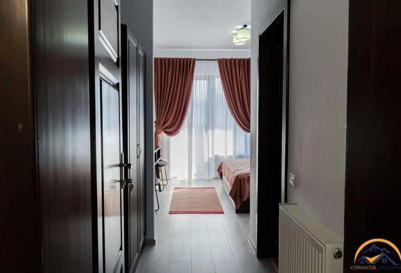 Отель Conacul Doamnei