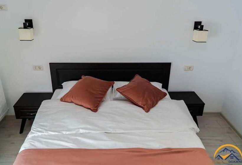 Отель Conacul Doamnei