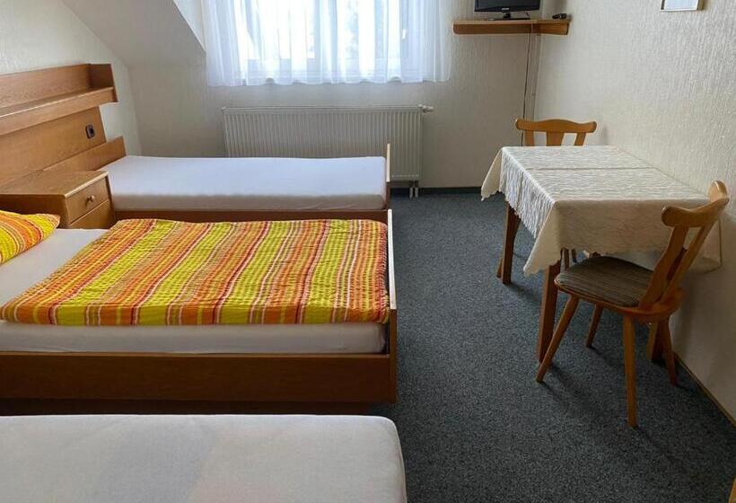 בית מלון כפרי Grüne Au