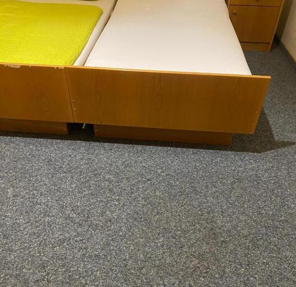 Отель Grüne Au