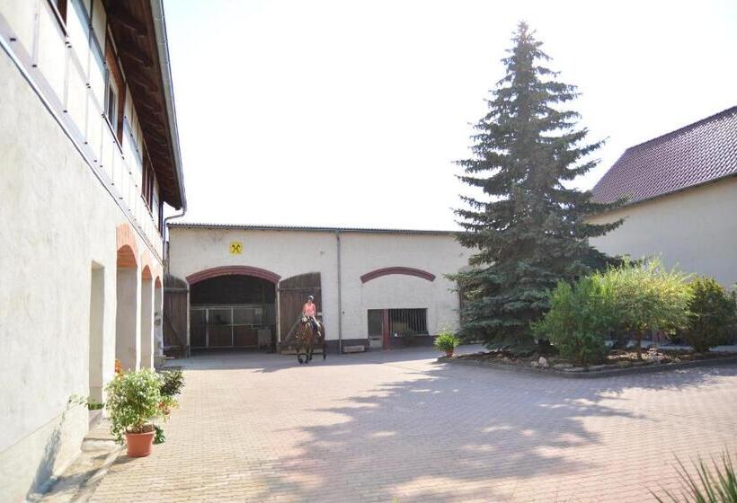 ホテル Gut Fischer