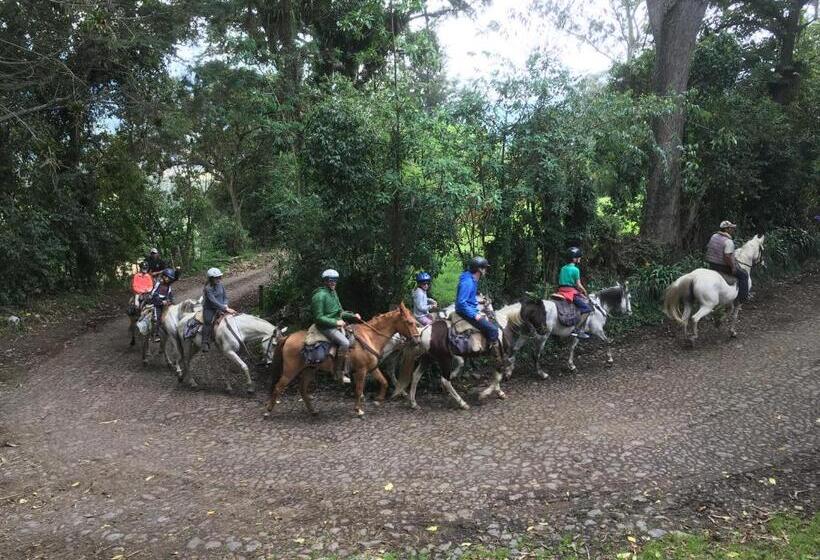 فندق Hacienda La Alegria