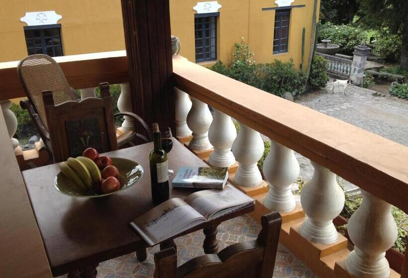 فندق Hacienda La Alegria