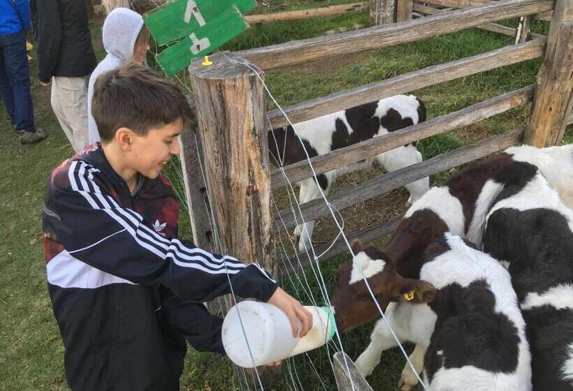 فندق Hacienda La Alegria