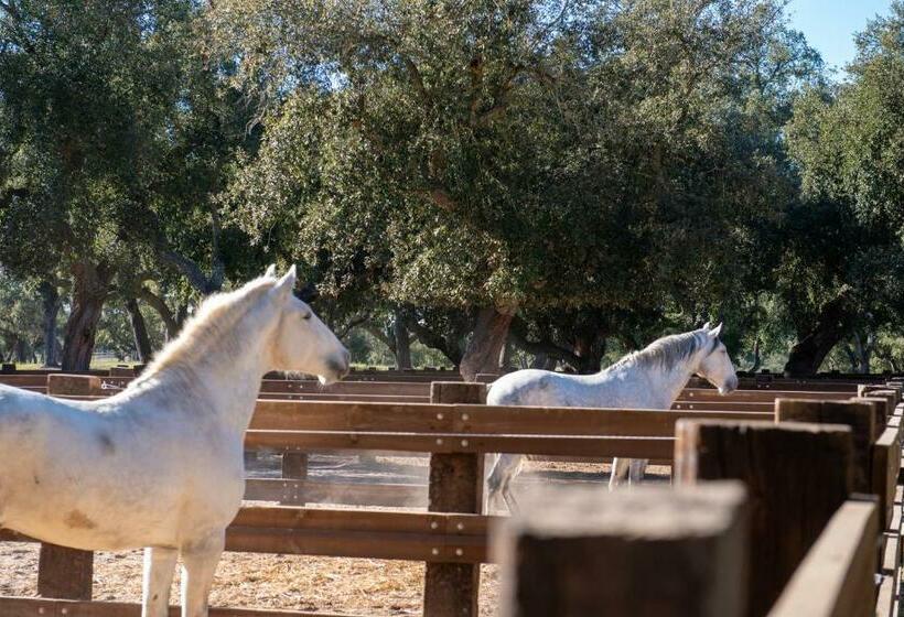 호텔 Herdade Das Onzenas De Cima