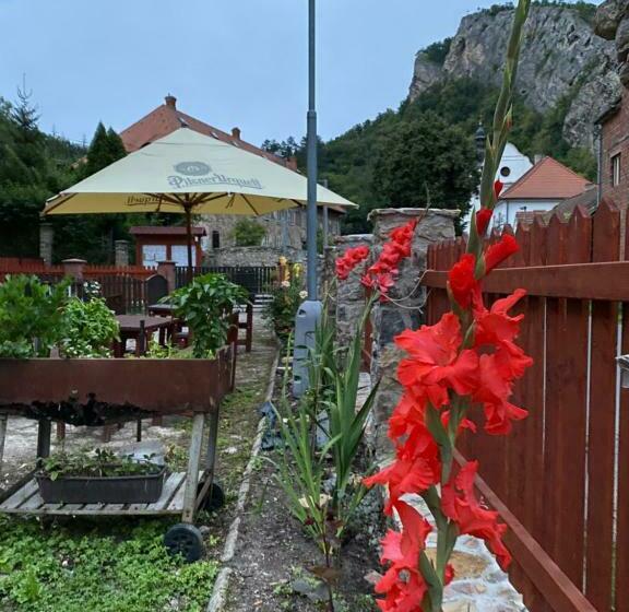 ホテル Obecná škola