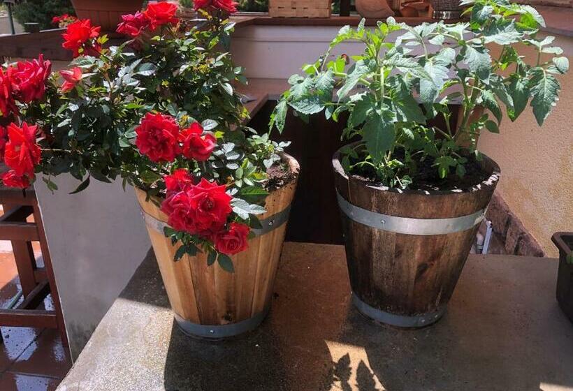 ホテル Obecná škola