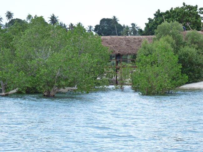 فندق Pemba Misali Sunset Beach