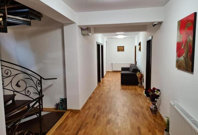 Отель Pensiunea Medaless