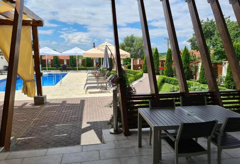 Отель Pensiunea Medaless