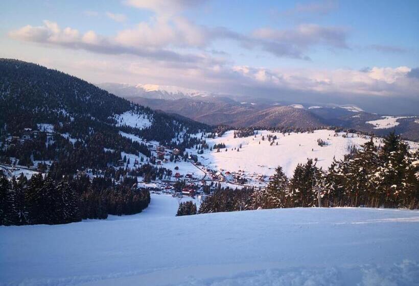 فندق Pensiunea Piatra Mandrutului