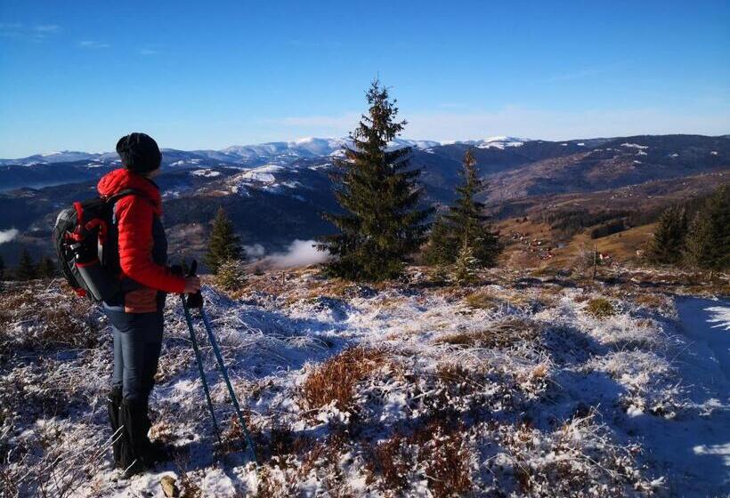فندق Pensiunea Piatra Mandrutului