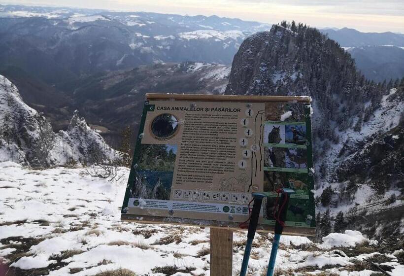 فندق Pensiunea Piatra Mandrutului