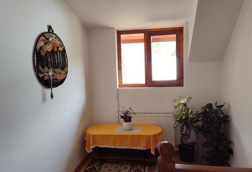 فندق Pensiunea Piatra Mandrutului