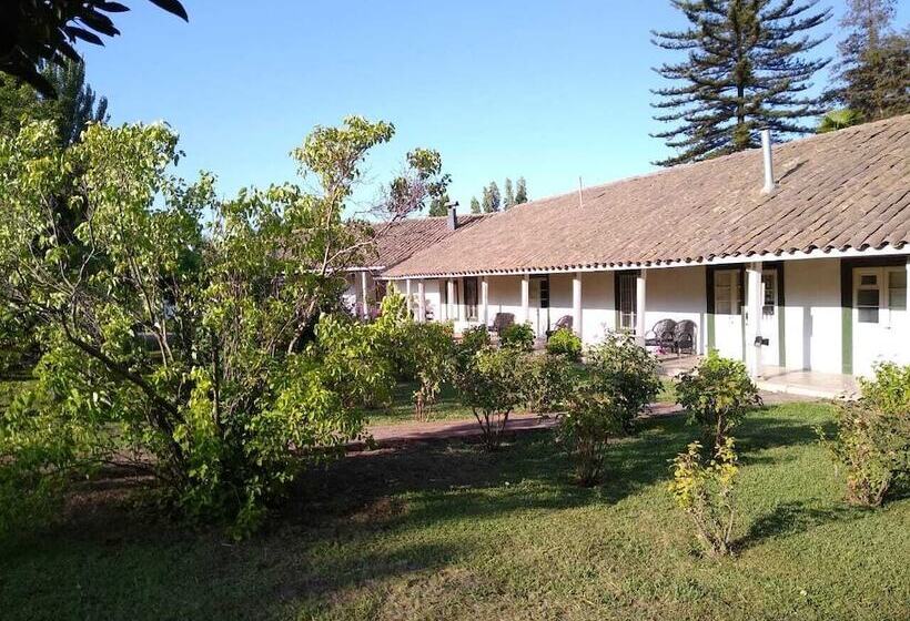 فندق Plaza Malloa