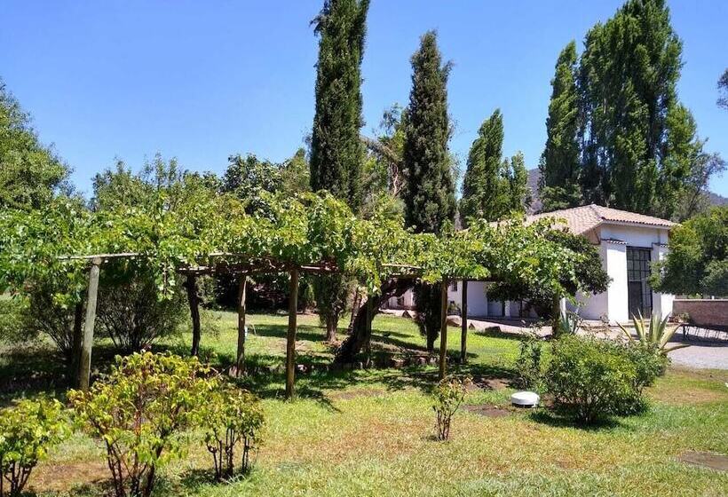 فندق Plaza Malloa