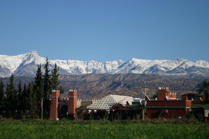 فندق Riad L  Arganier D  Or