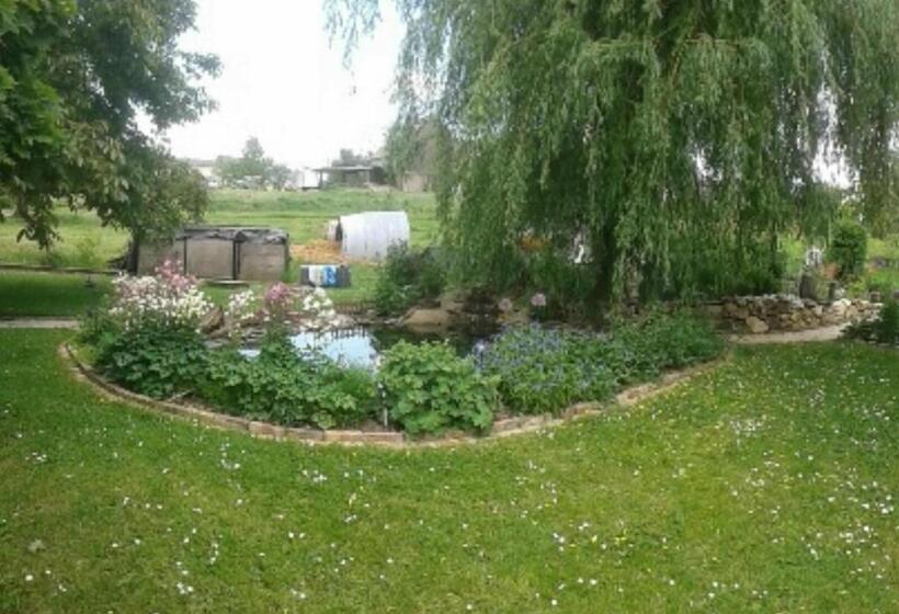 Отель Stierstall Suite Pension Wahlenau