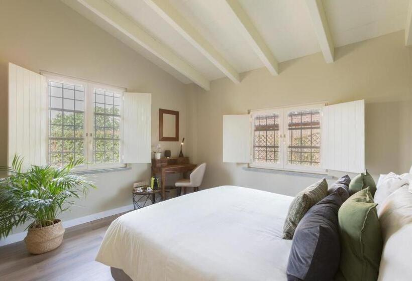 בית מלון כפרי White Tail Organic Farm